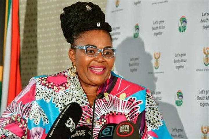 
Pemmy Majodina Age, Birthday, Wikipedia, Who, Nationality, Biography 