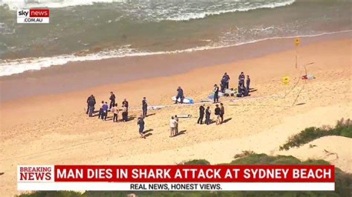 Sydney Shark Attack Unedited Video On Reddit As The Victim Is Finally Identified As Simon Nellist