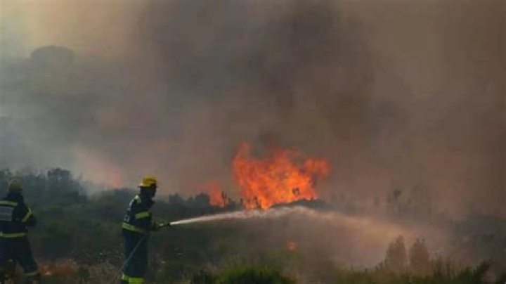 
Wildfires burns over 3,200 hectares of land in France 